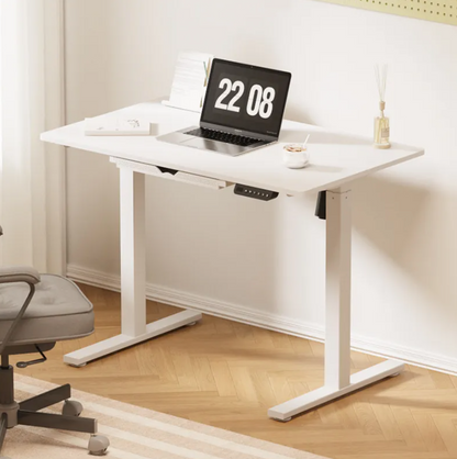 Smart Electric Standing Desk